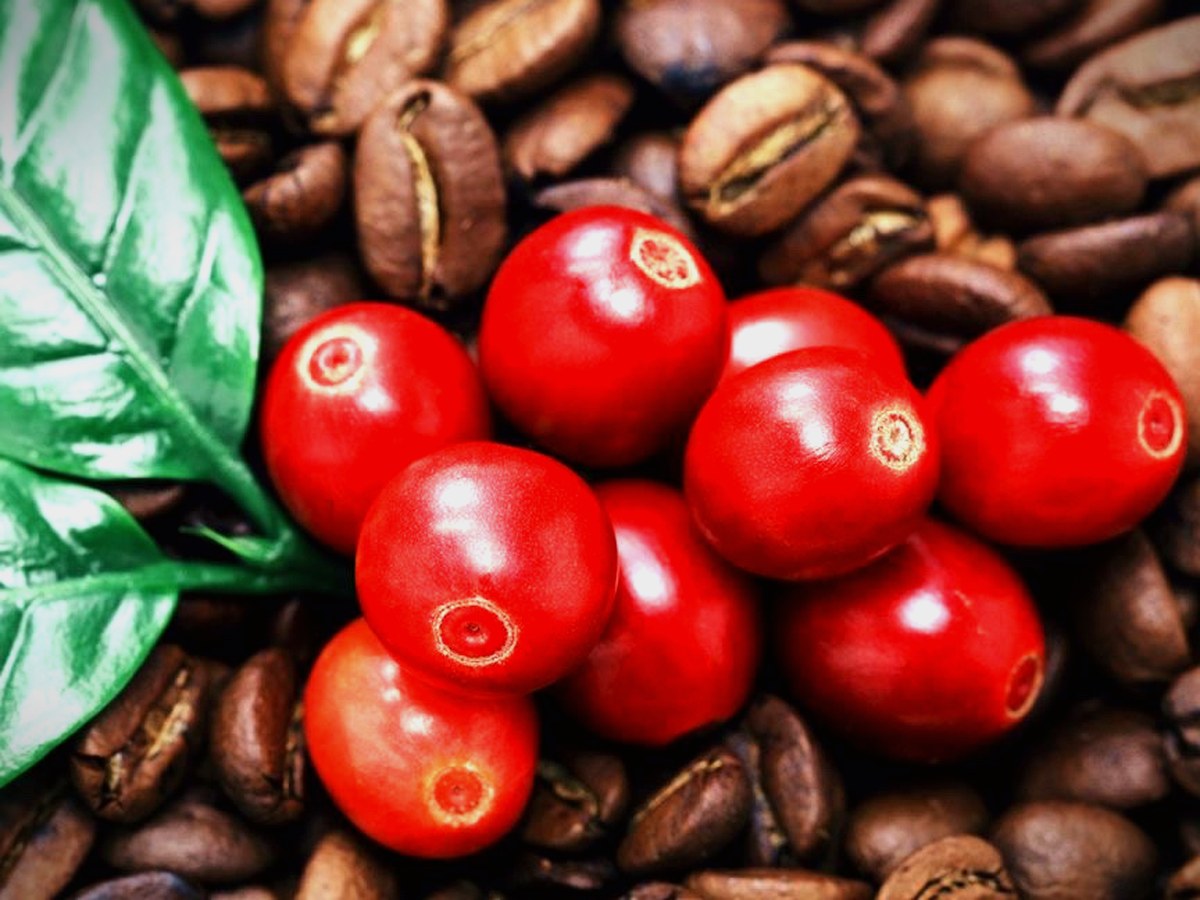 Colombian coffee and cacao