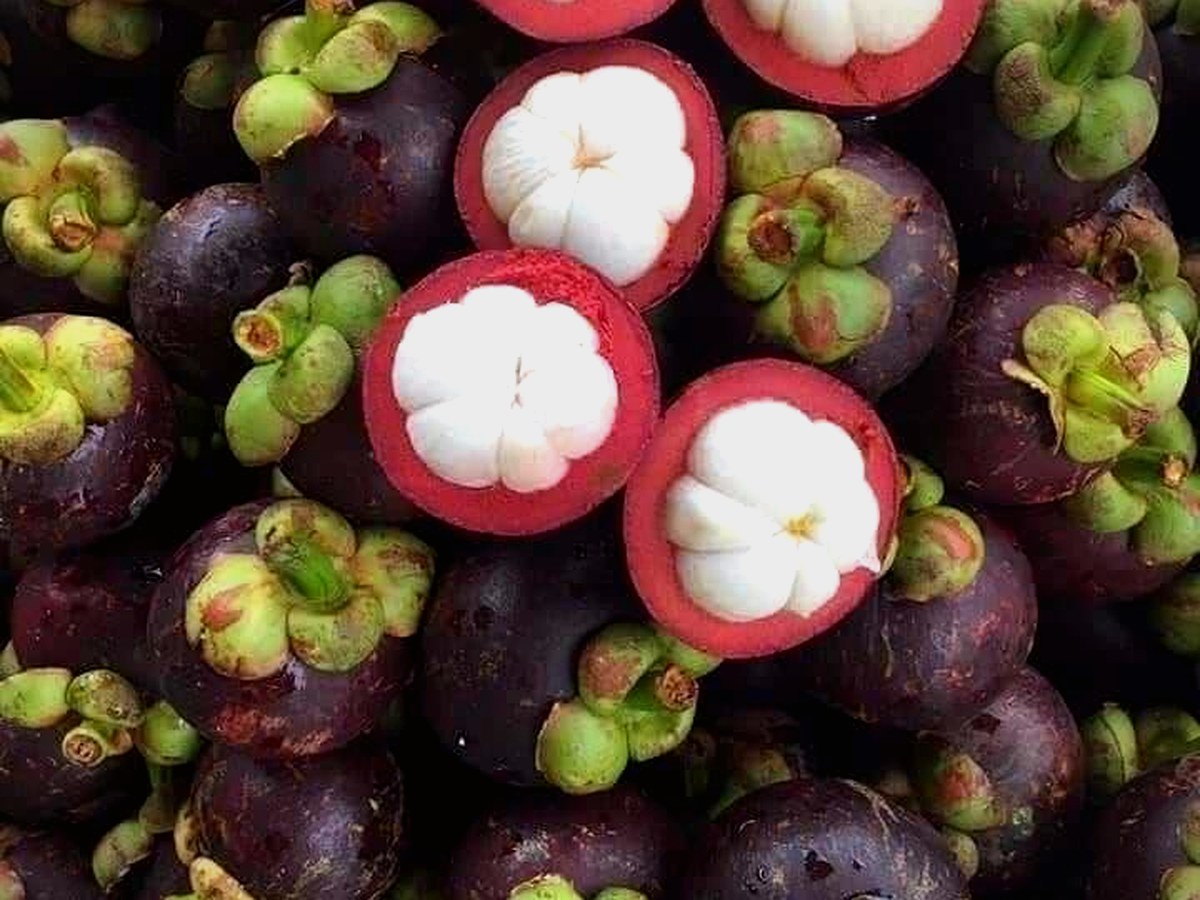 Mangosteen exotic fruit